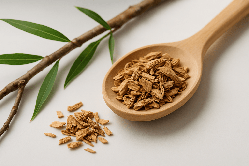 Weidenrinde – Das natürliche Aspirin gegen Schmerzen und Entzündungen